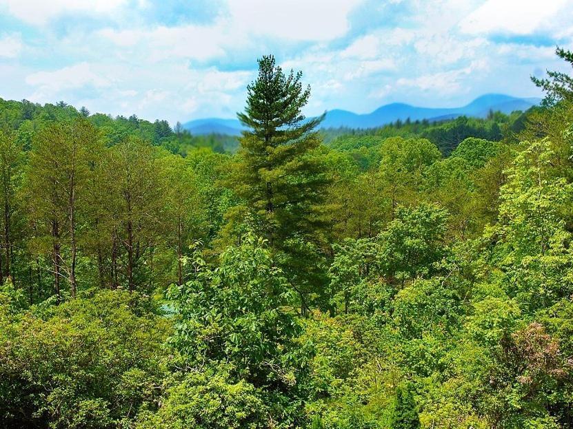 Long Mountain Lodge Bed & Breakfast Dahlonega Quarto foto