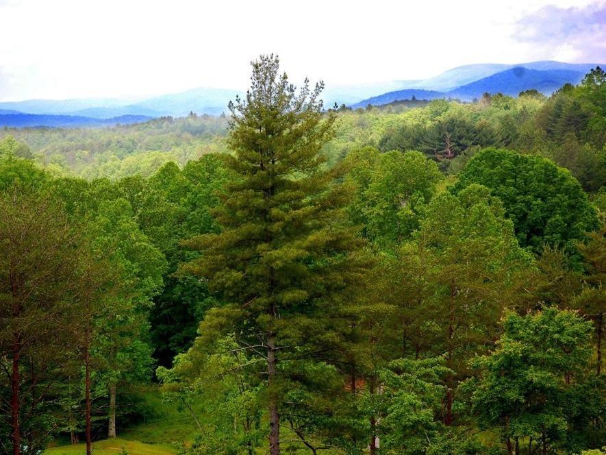 Long Mountain Lodge Bed & Breakfast Dahlonega Quarto foto